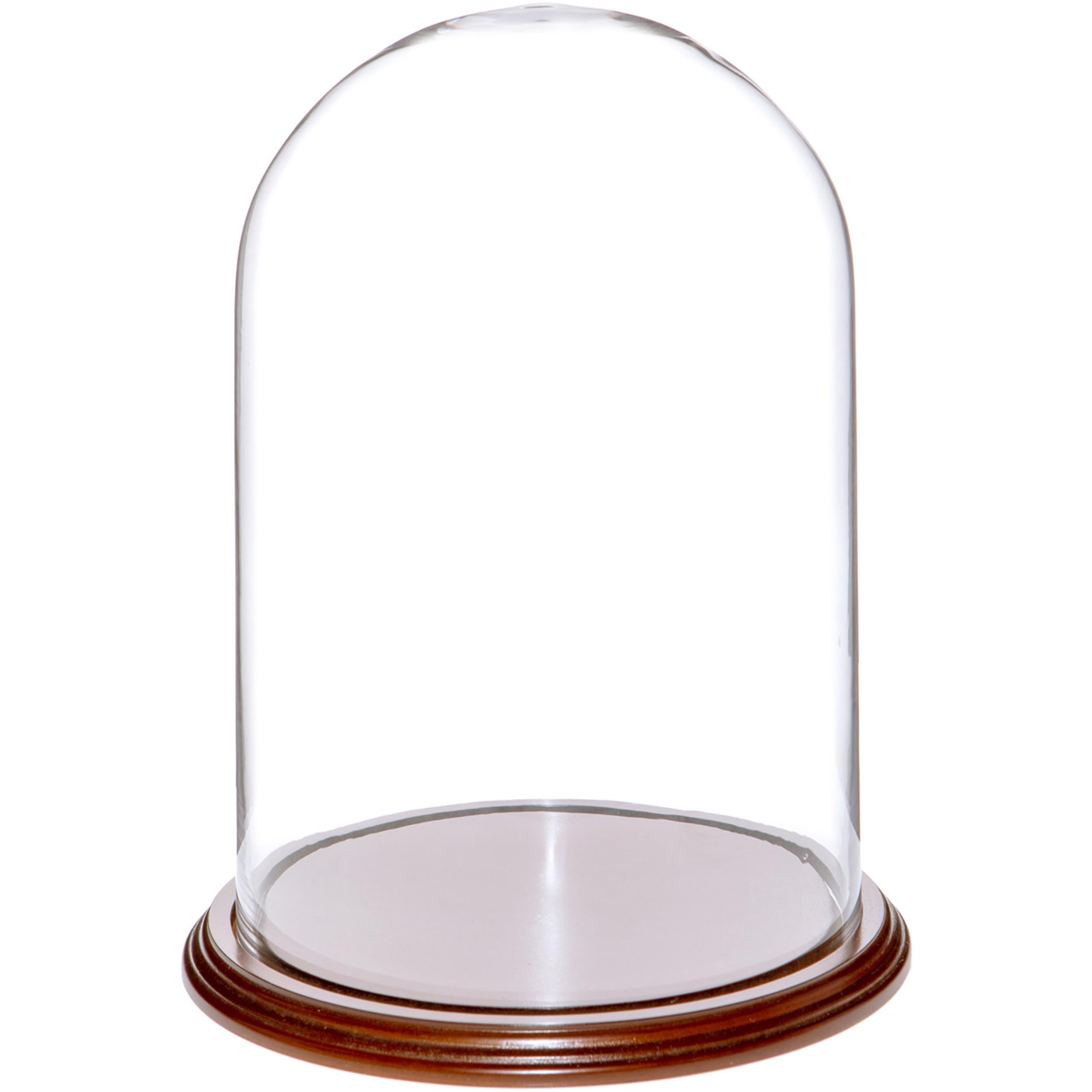 Plymor 8 x 12 Glass Display Dome Cloche (Walnut Veneer Base)