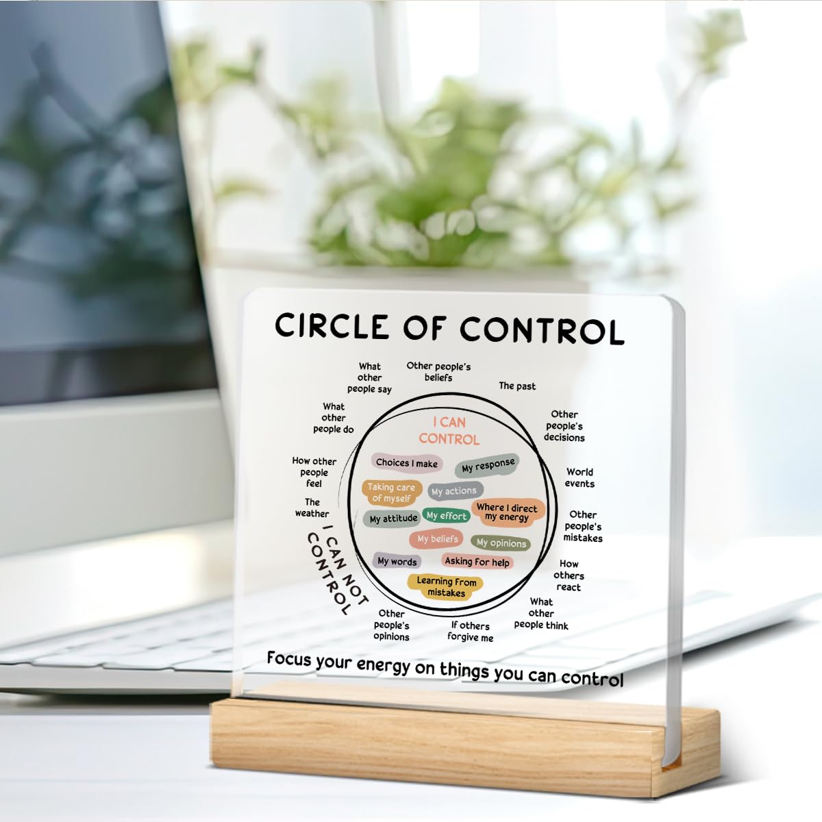 Mental Health Decor, Therapy Office Gifts, Therapy Office Decorations, Therapist Gifts for Women Men, Things I Can Control Acryl