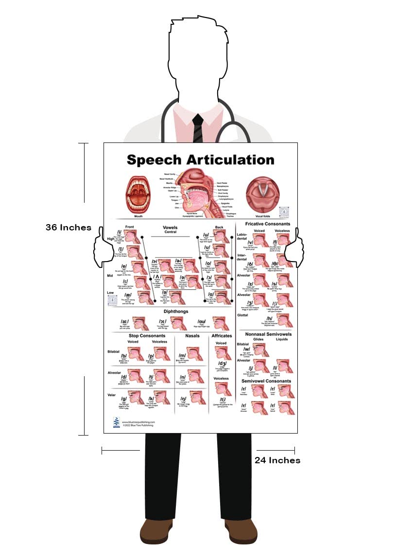 Blue Tree Publishing Speech Articulation Qr Codes For Two Animations Anatomy Poster 24X36Inch, Speech Language Pathology - Vowel