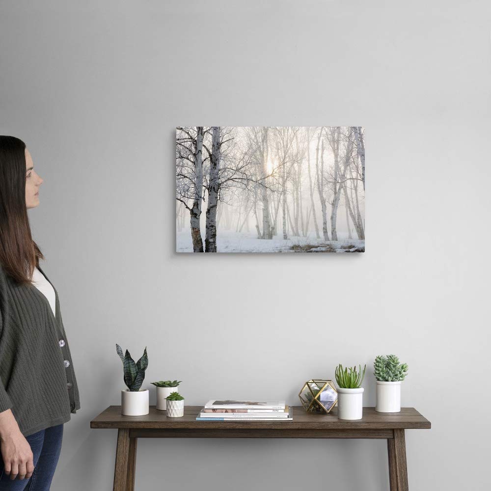 Canvas On Demand Ontario, Canada, Birch Trees In The Fog Canvas Wall Art Print By Susan Dykstra, Home Decor, Winter Artwork, 24'