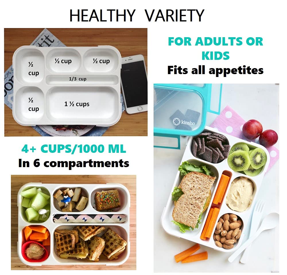 kinsho Bento Box Lunch-Box Containers for Kids  Adults  6 Compartment Lunch-Boxes  Leakproof School Bentobox  Snack or Meal Portion Container  BPA-Free  Teal