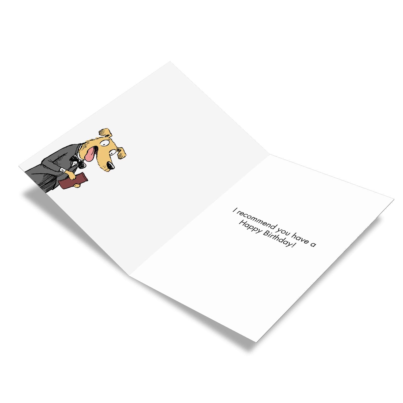Nobleworks - 1 Humor Birthday Card With Envelope - Funny Cartoons For Birthday Greetings, Celebration Notecard - Waiter Recommen