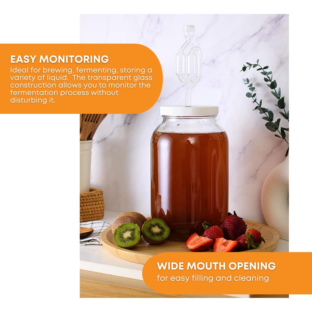 Fastrack 4X-Qad4-R06S One Gal Wide Mouth Jar With Lid And Twin Bubble Airlock, Clear