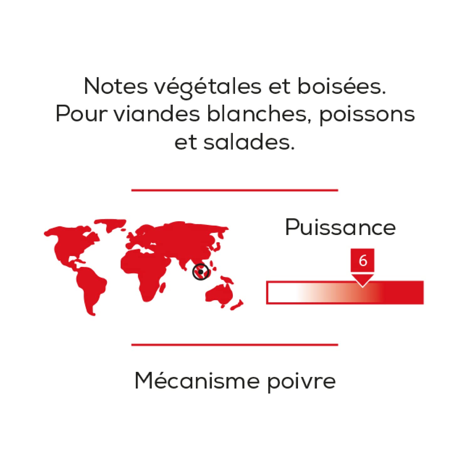 Peugeot Malaysia-75G Sarawak Spice Cube-White Pepper Malaysia, 75G, Clear