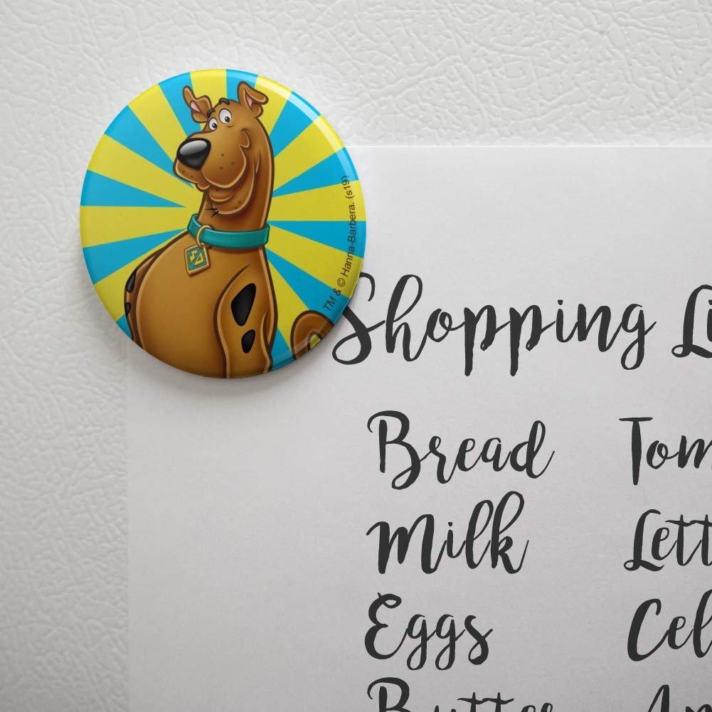 Scooby-Doo Character Kitchen Refrigerator Locker Button Magnet