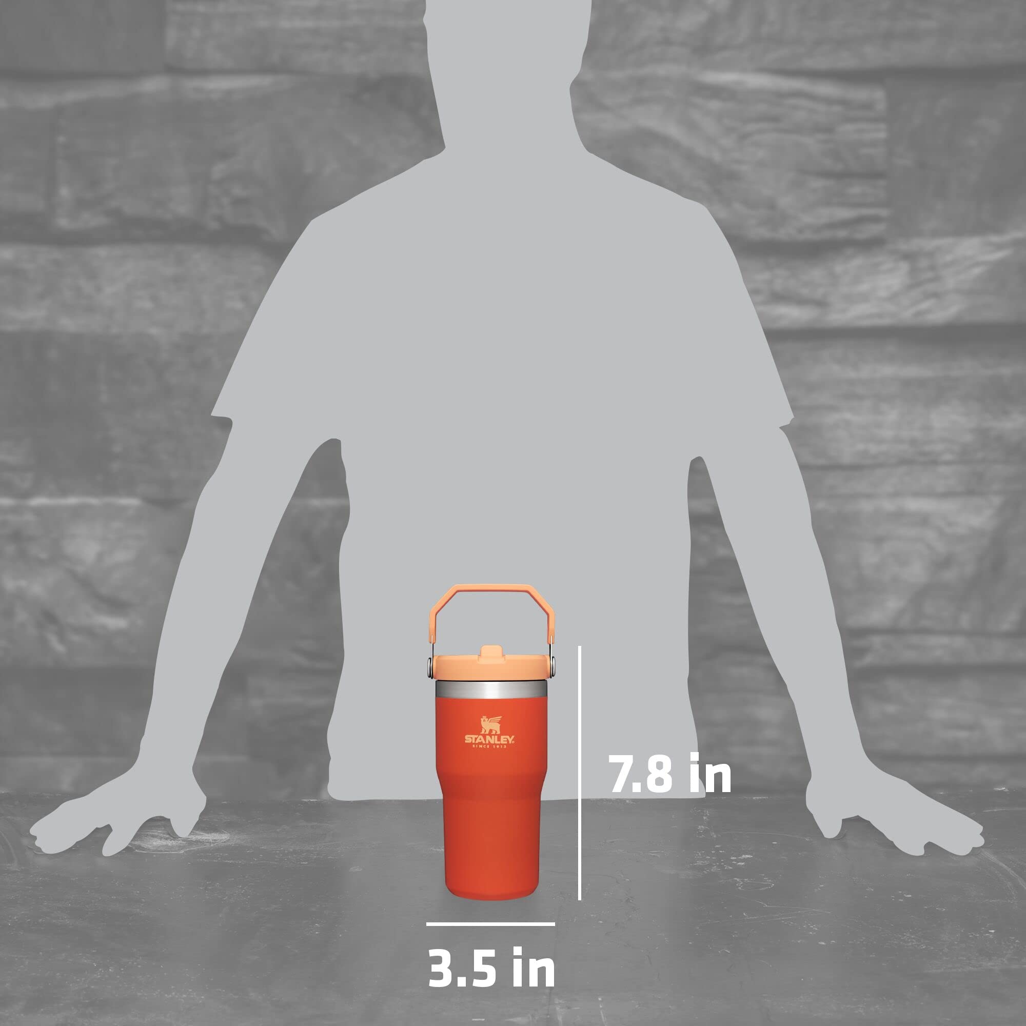 Stanley Iceflow Stainless Steel Tumbler - Vacuum Insulated Water Bottle For Home, Office Or Car Reusable Cup With Straw Leak Res