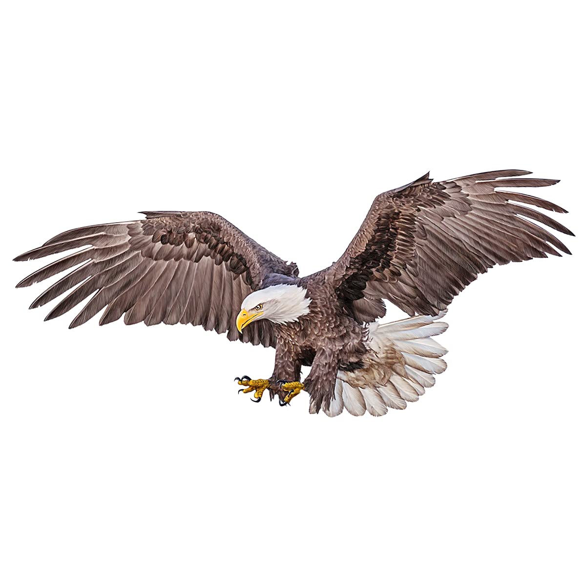 WOYINIS Hand Draw Bald Eagle Wall Decal Stickers 32'' x 15'' Peel & Stick Removable Eagle Wall Art Decor Decals for Living Room Bedroom Office Giant Wall Stickers