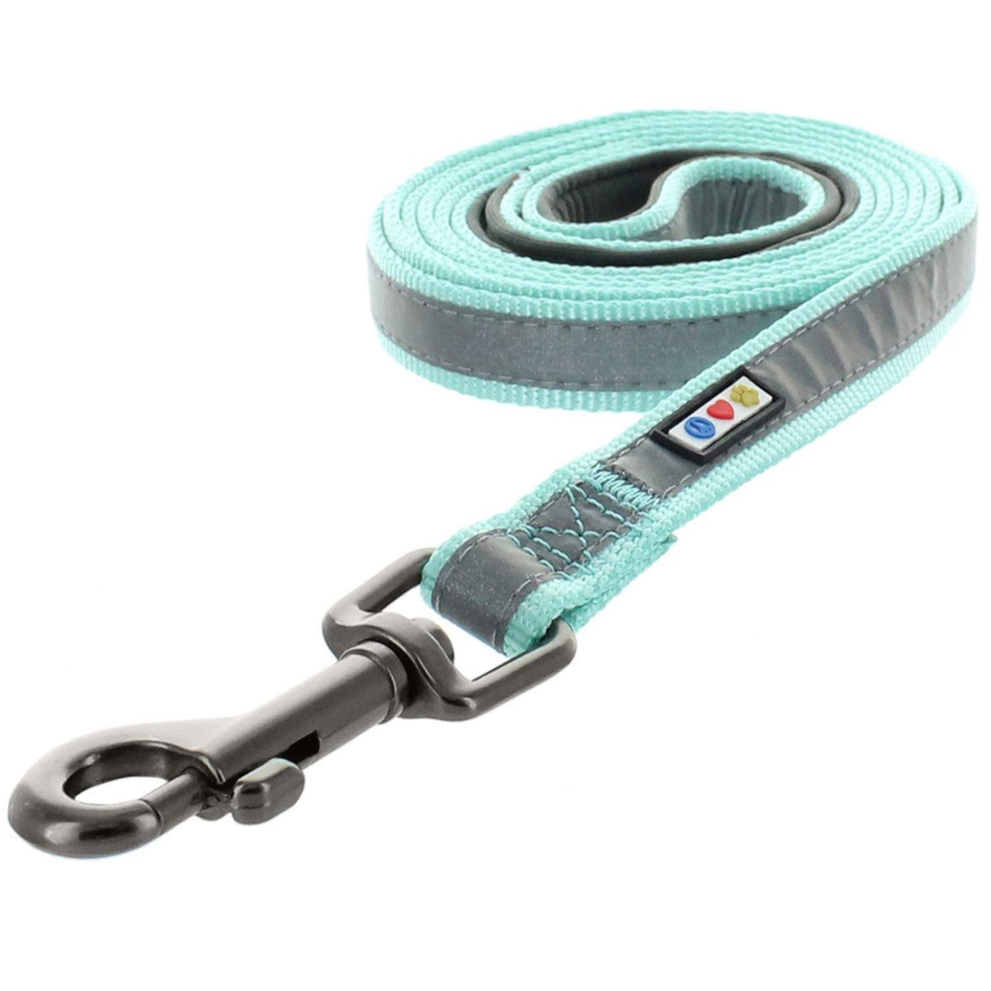 Pawtitas 6 Ft Padded Dog Leash With Comfortable Neoprene Padding Handle - Teal Lead  Small Reflective Dog Leash With Highly Refl