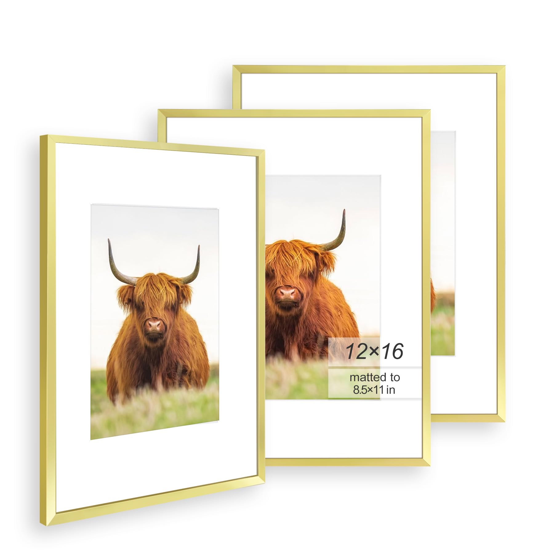 Golden State Art, 12x16 Picture Frame Set of 3, Gold Thin Border, Display Photo 8.5x11 with Mat or 12x16 Without Mat, Poster Fra