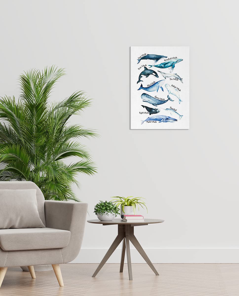 Sea Life Whale Educational Ocean Animal Chart Wall Art Canvas Farmhouse Whale Theme 11X14 Inch Prints Decor For Home Bedroom Liv