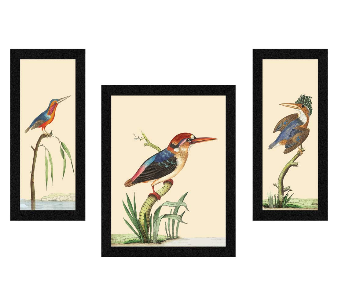 Artx Paper Sea Birds Wall Art Painting, Multicolor, Bird, 13.0 X 22.0 Inches, Set Of 3
