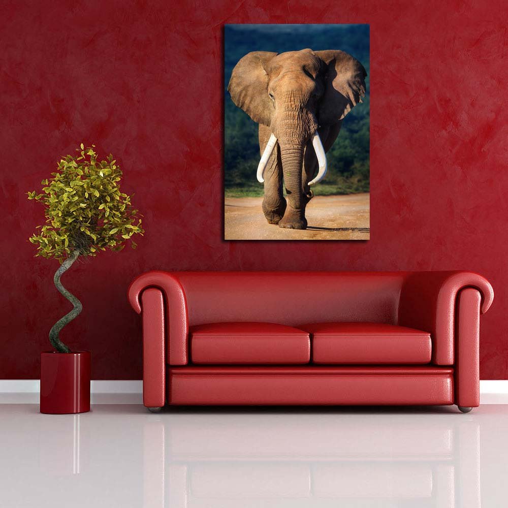 Pitaara Box Elephant with Large Teeth | Peel & Stick Vinyl Wall Sticker for Bedroom & Living Room | 16 x 23.8 inch (41 x 60 cms)