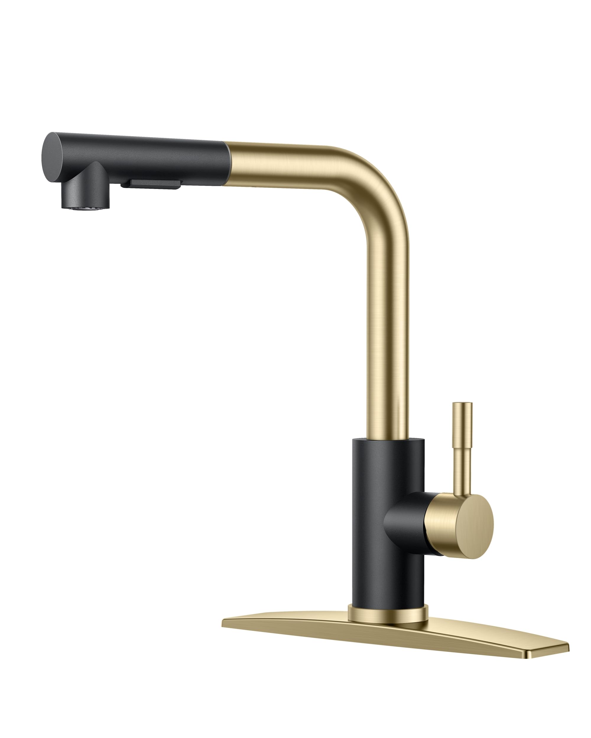 Forious Kitchen Sink Faucet With Sprayer, Kitchen Faucet With Pull Down Sprayer Gold Black, Single Handle Kitchen Faucets With D