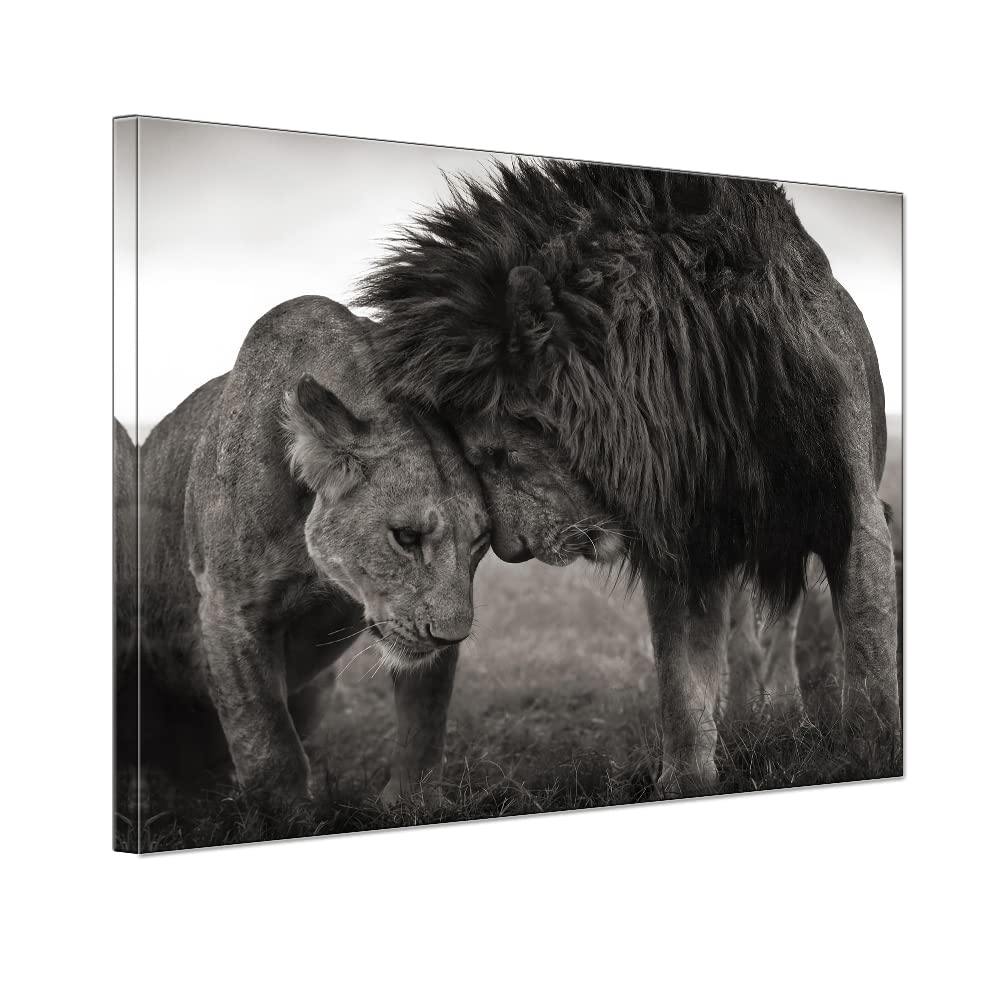Black And White Lion Couple Animals Art Poster Living Room Master Bedroom Wall Art Lioness Artwork Framed Canvas Painting Artwor