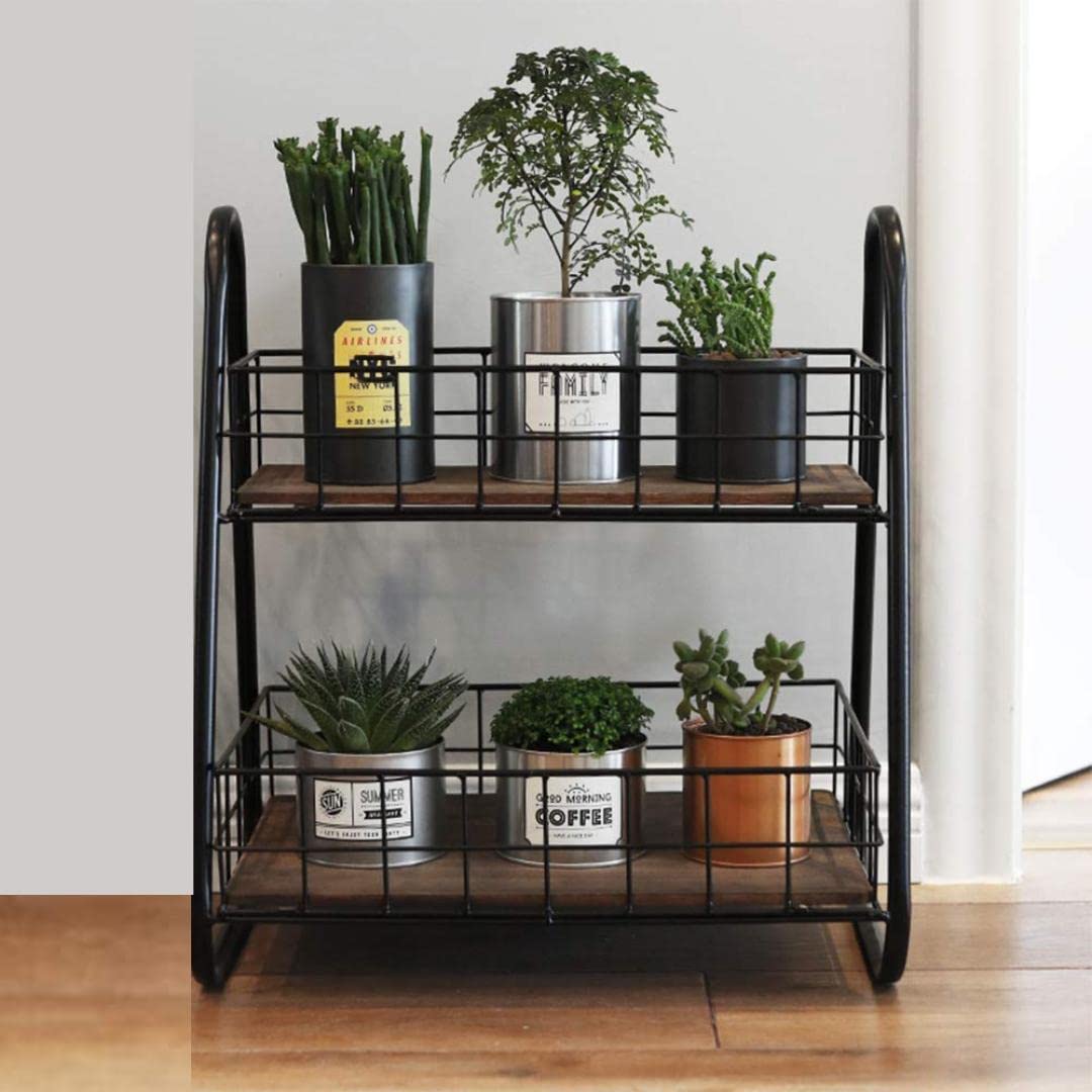 Decorlay Wooden Metal DoubleLayer Multipurpose Storage Rack  Spice, Kitchen, Bathroom Organizer  SpaceSaving Solution Plants