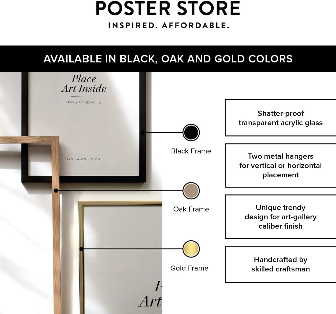 Poster Store 20x28 Black Wood Picture Frame