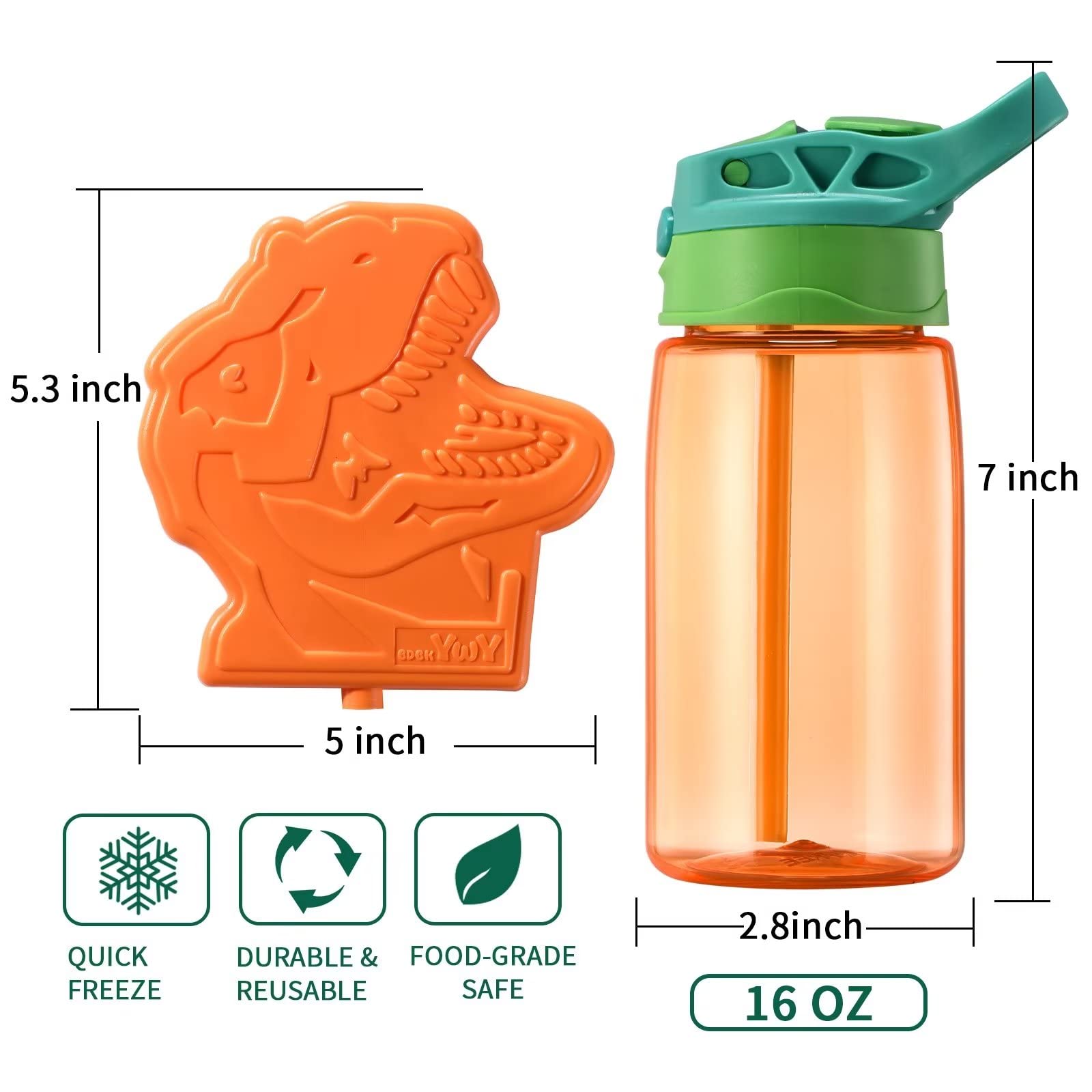 Bdbkywy Dinosaur-Themed Boys Lunch Box Set - Durable, Leakproof, Reusable Complete Lunch Kit For School