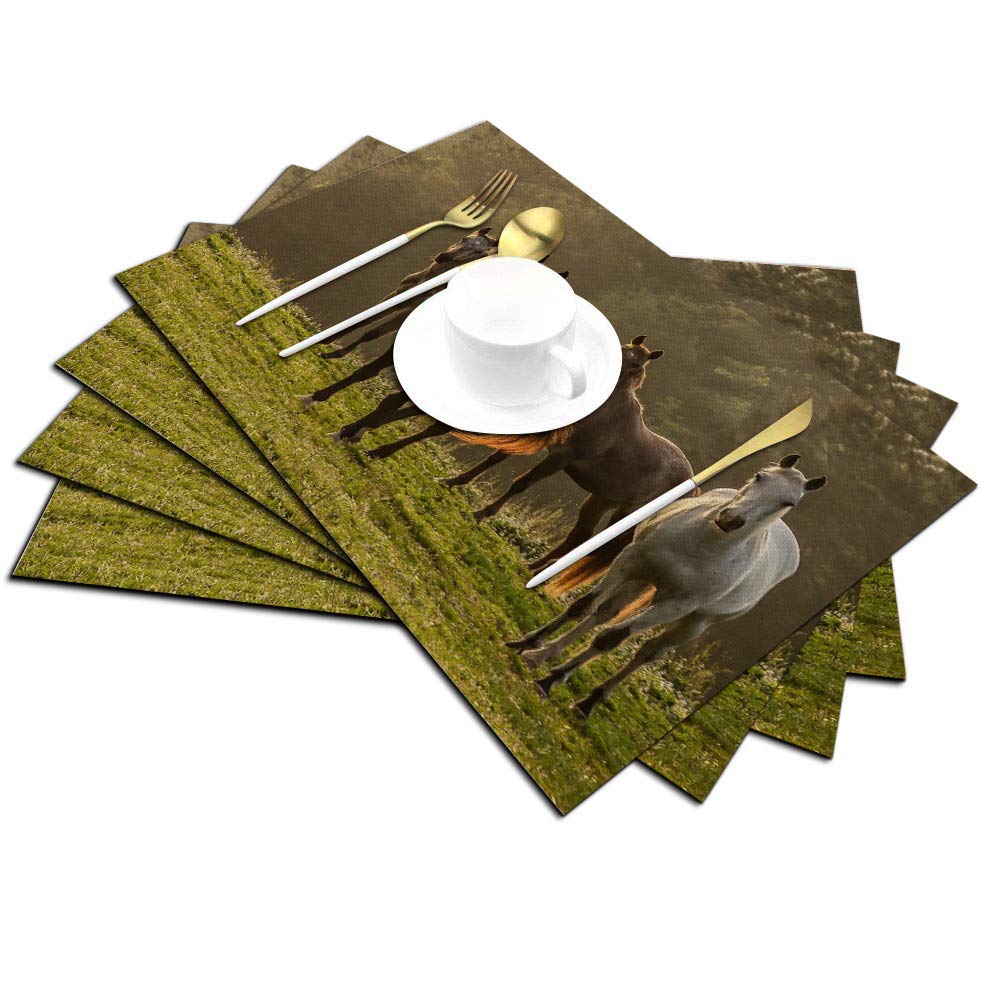 Horse Placemats Set Of 4, Horse On The Prairie Pasture Placemats Heat Resistant For Dining Table Non-Slip 18X12 Inches