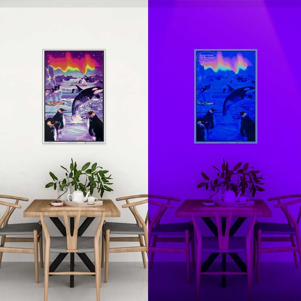 Opticz Arctic Aurora Blacklight Reactive Poster