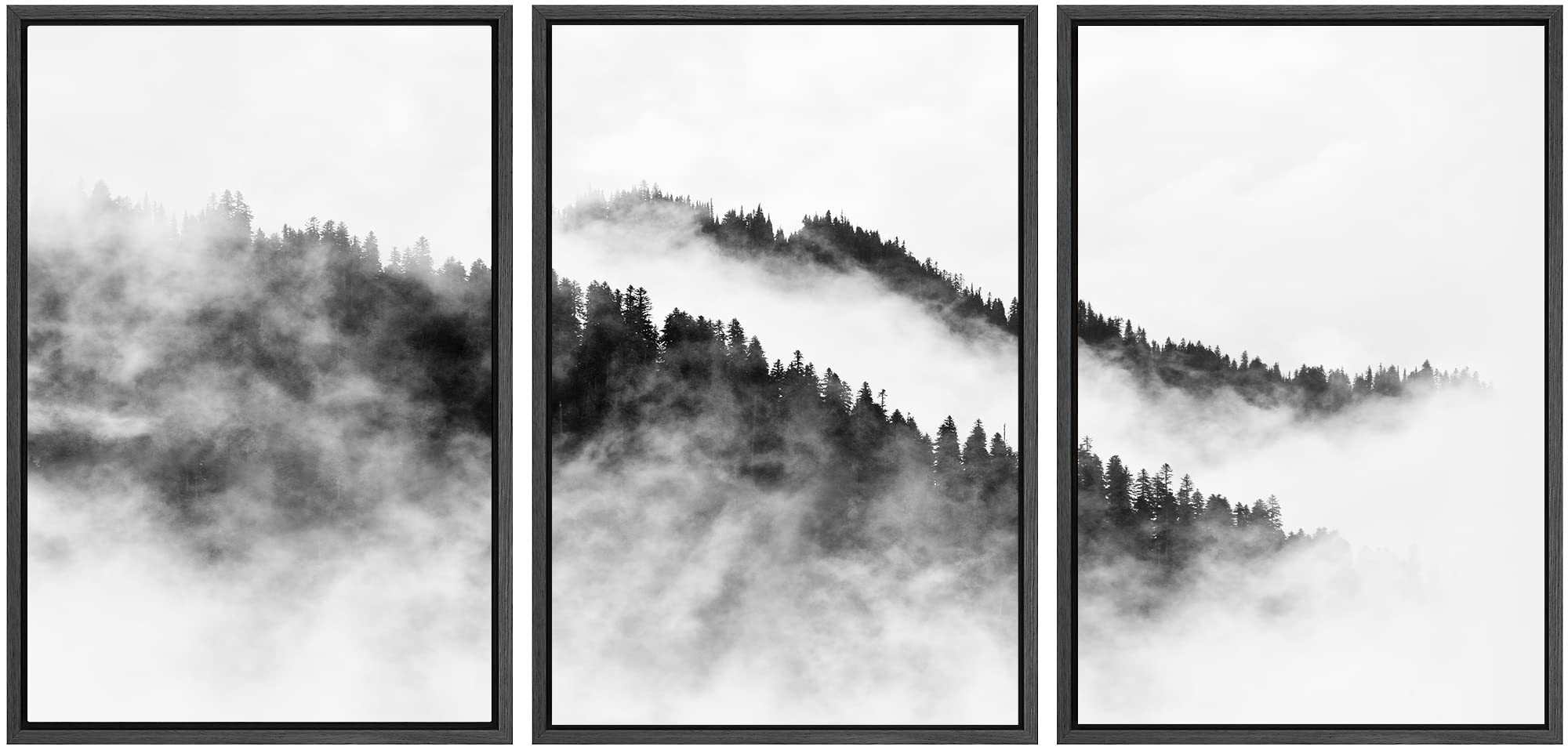 Signwin Framed Canvas Print Wall Art Set Black & White Mountain Forest Valley Nature Wilderness Photography Modern Art Rustic La