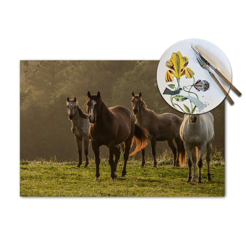Horse Placemats Set Of 4, Horse On The Prairie Pasture Placemats Heat Resistant For Dining Table Non-Slip 18X12 Inches