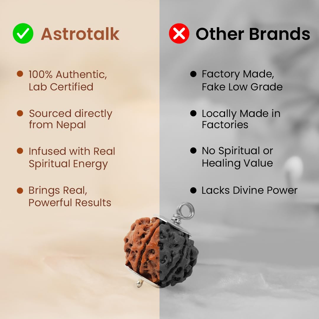 Astrotalk Nepal Origin 6 Mukhi Rudraksha with Silver-Capping | Boost Focus & Confidence | Mental Clarity, Willpower & Success | Sacred Rudraksha Bead for Women & Men