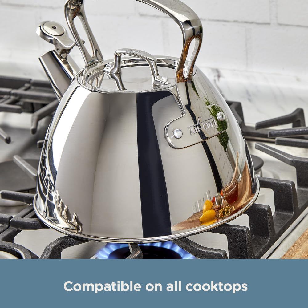 All-Clad Specialty Stainless Steel Tea Kettle 2 Quart Induction Pots and Pans  Cookware Silver