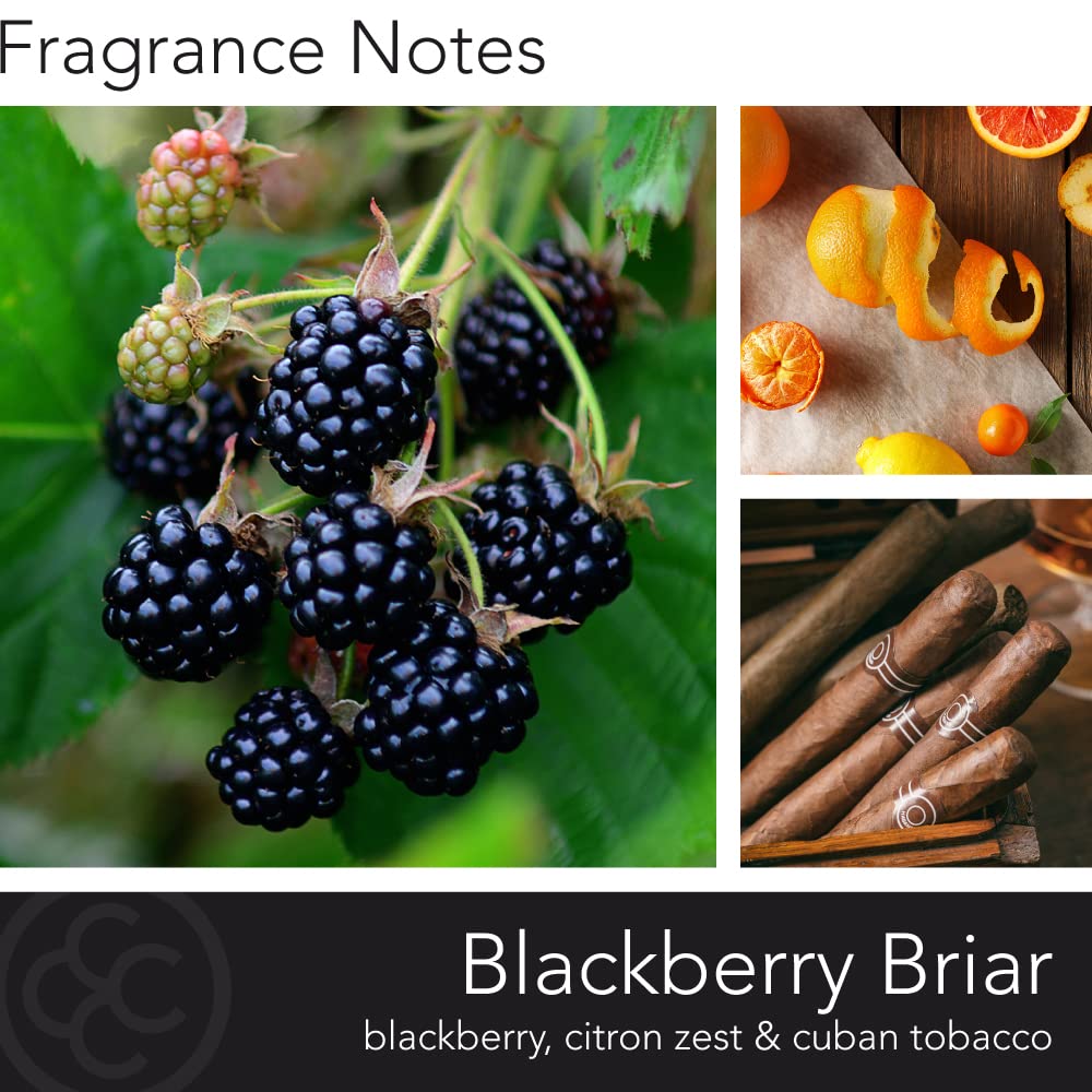 Colonial Candle BlackBerry Briar Scented Jar Candle | 2-Wick Natural Soy Blend Wax Candle for Home | Relaxing Aromatherapy Candl