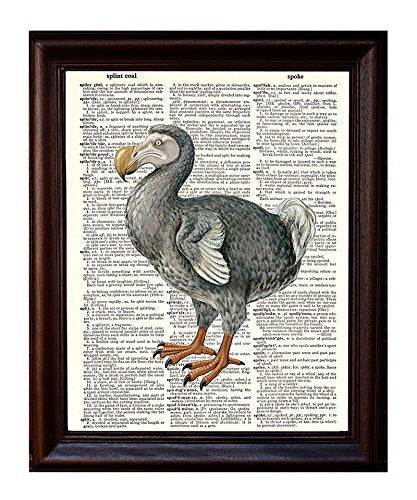Dodo Bird - Dictionary Art Print
