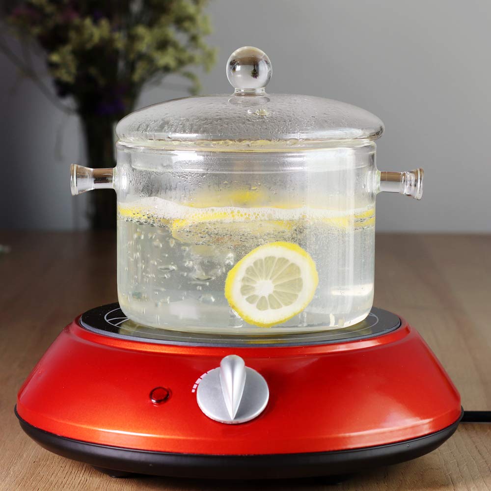 LEAVES AND TREES Y Glass Saucepan 1.5L Borosilicate Clear Stovetop Pot with Lid, Model YR-GSWC