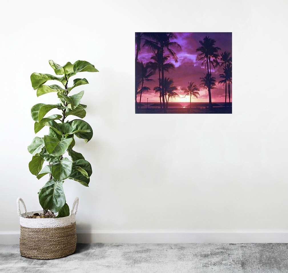 Purple Tropical Sunset Landscape Scenery Wall Decor Art Print Poster (16X20)