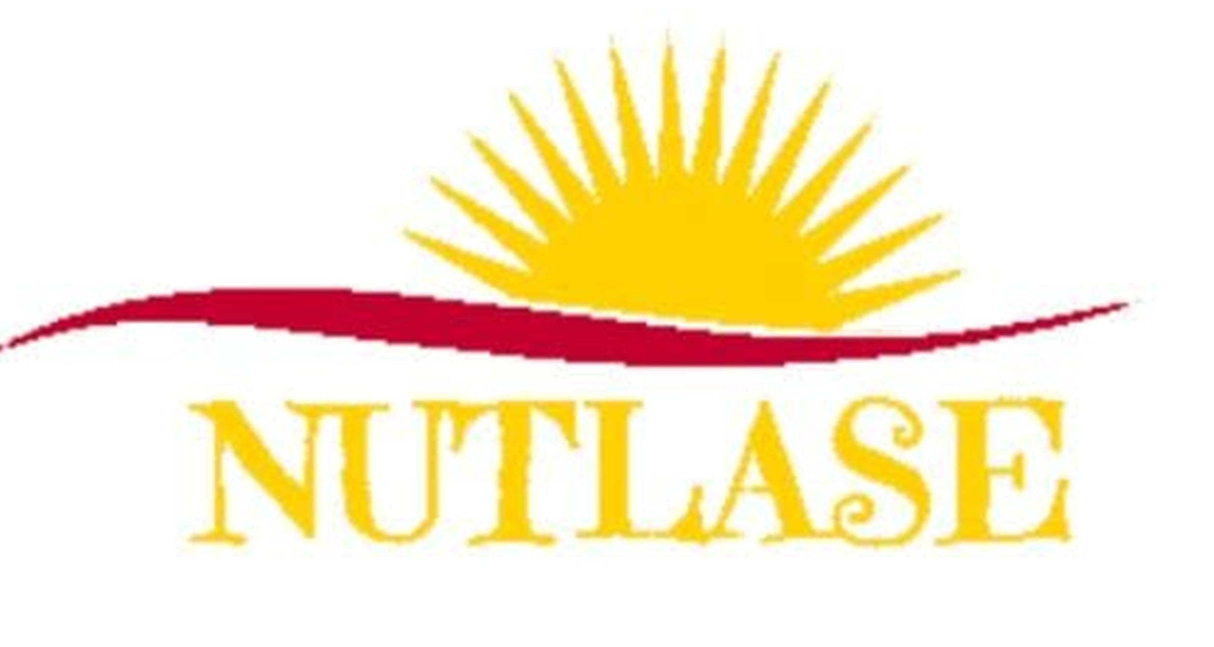 Nutlase Iron Tawa, Original Handmade Loha Iron Lokhand Roti/Chapati Tawa With Wooden Handle (Original Tawa Purchased Only Sold A