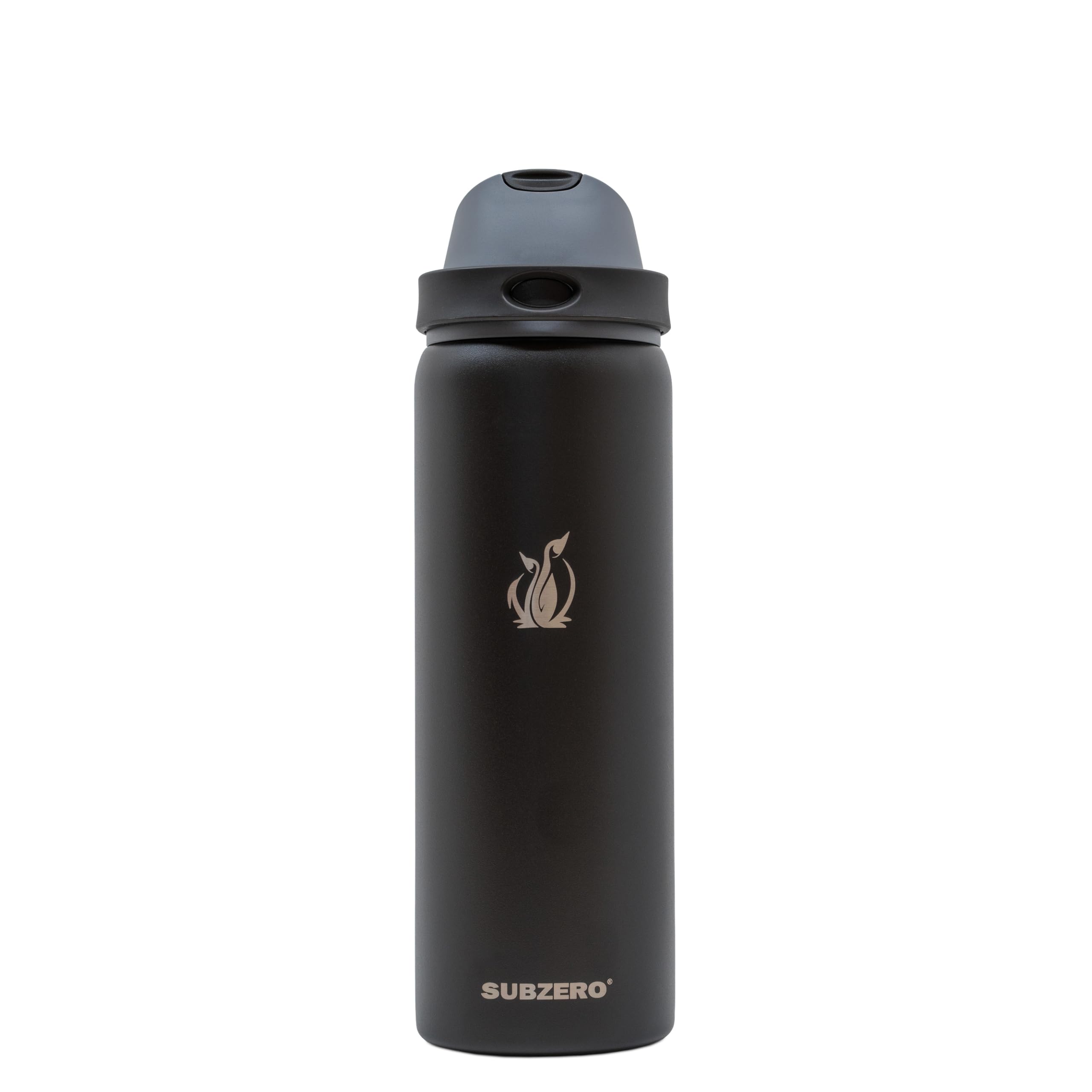 SUBZERO DUO 32 Ounce Water Bottle With Straw, Caviar, Triple Layer Vacuum Insulated Stainless Steel, Leak Proof, Dishwasher Safe