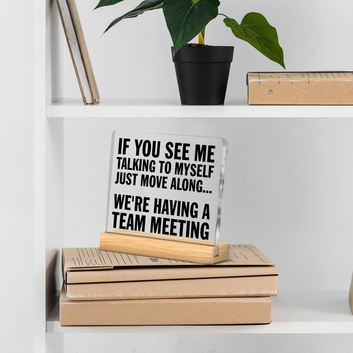 Funny Office Desk Decor If You See Me Talking to Myself Acrylic Desk Decorative Sign Humorous Gifts for Coworkers Teammate Emplo