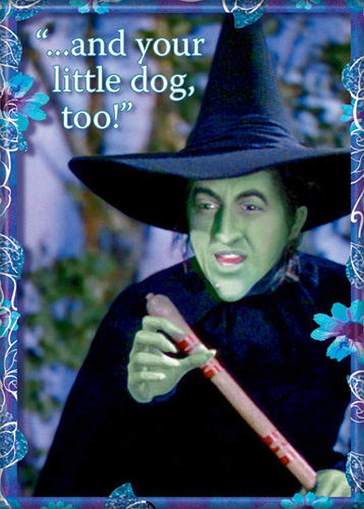 Ata-Boy Wizard Of Oz Wicked Witch Of The West 2.5'' X 3.5'' Magnet For Refrigerators And Lockers'