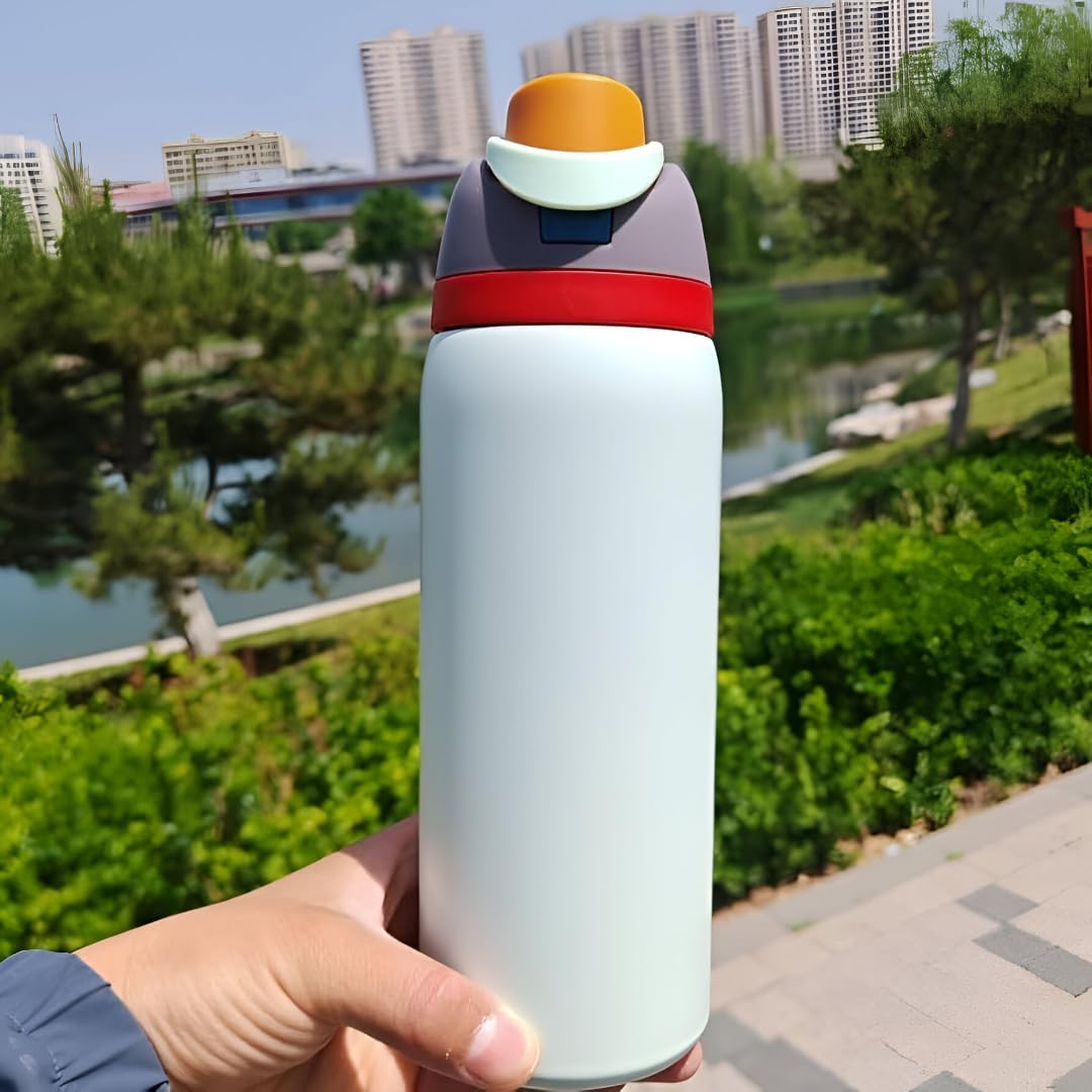 Stainless Steel Water Bottle 32 Oz With Flip Lid And Carry Loop (Grey, 960 Ml)