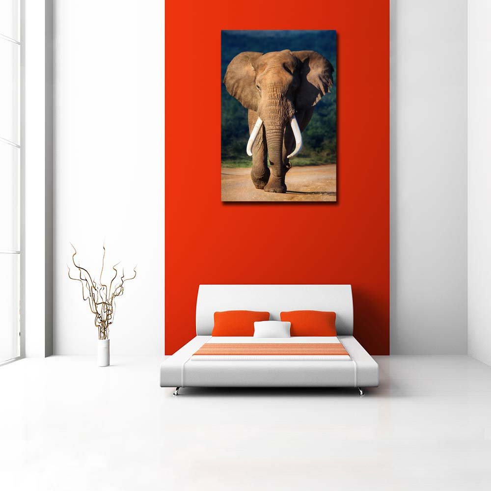 Pitaara Box Elephant with Large Teeth | Peel & Stick Vinyl Wall Sticker for Bedroom & Living Room | 16 x 23.8 inch (41 x 60 cms)