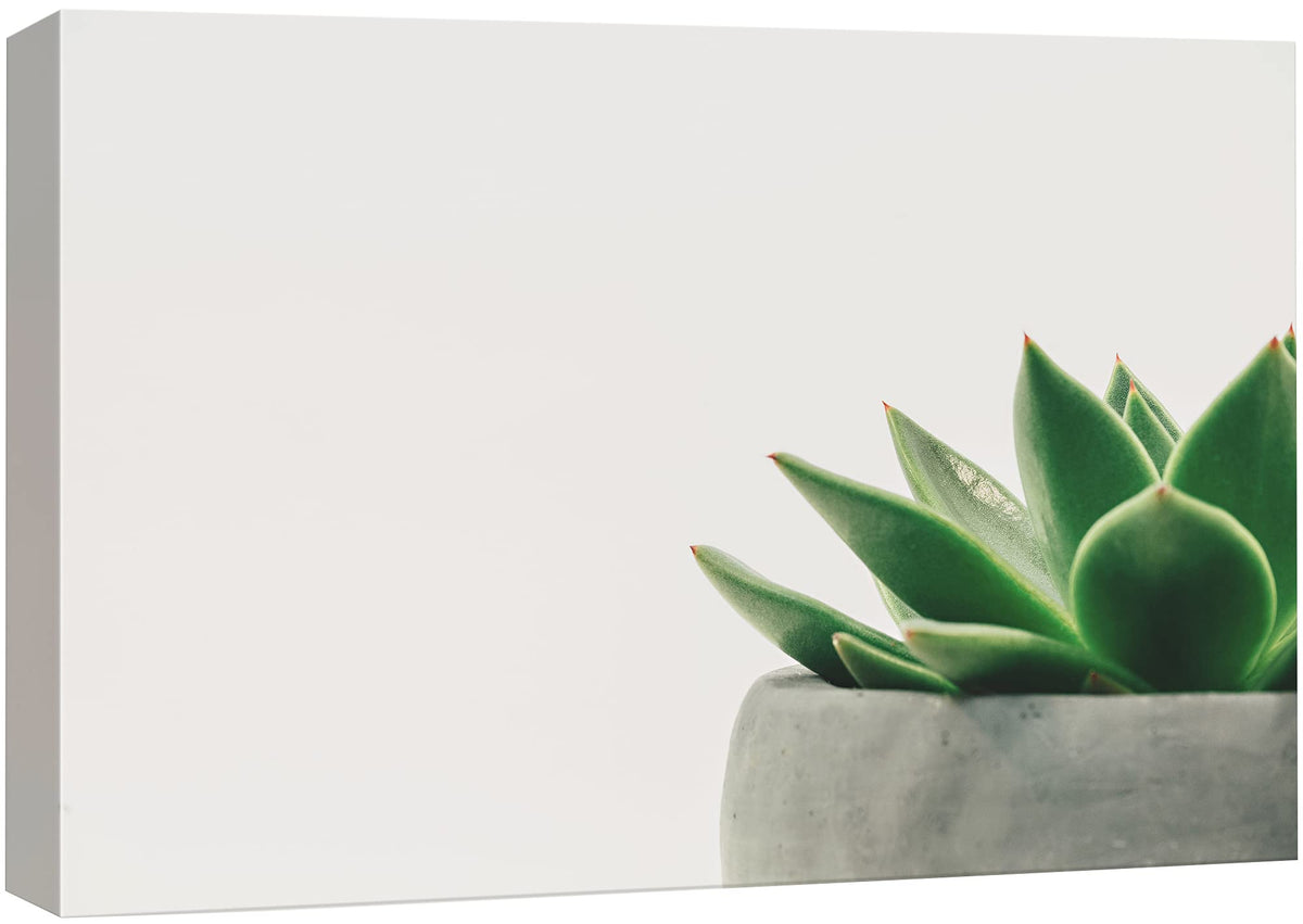 Nwt Canvas Print Wall Art Green Echeveria Cactus Closeup Floral Succulent Photography Modern Art Southwest Scenic Relax/Calm Mul
