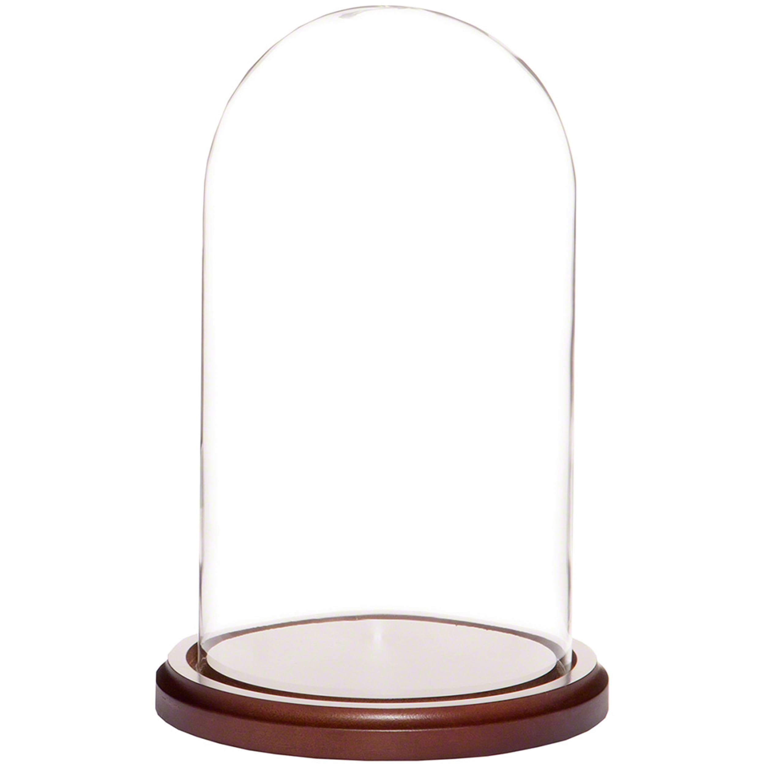 Plymor 5.5 x 10 Glass Display Dome Cloche (Walnut MDF Base)