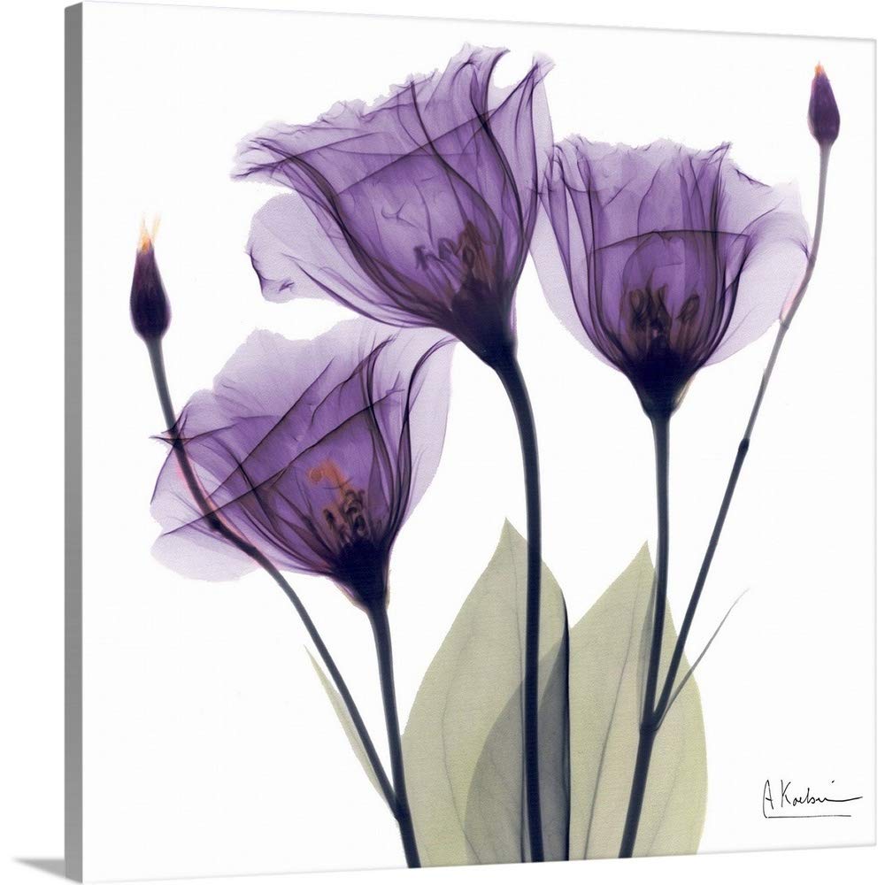 Canvas On Demand Purple Flower Trio Canvas Wall Art Print By Albert Koetsier, Home Decor, Artwork, 20''X20''