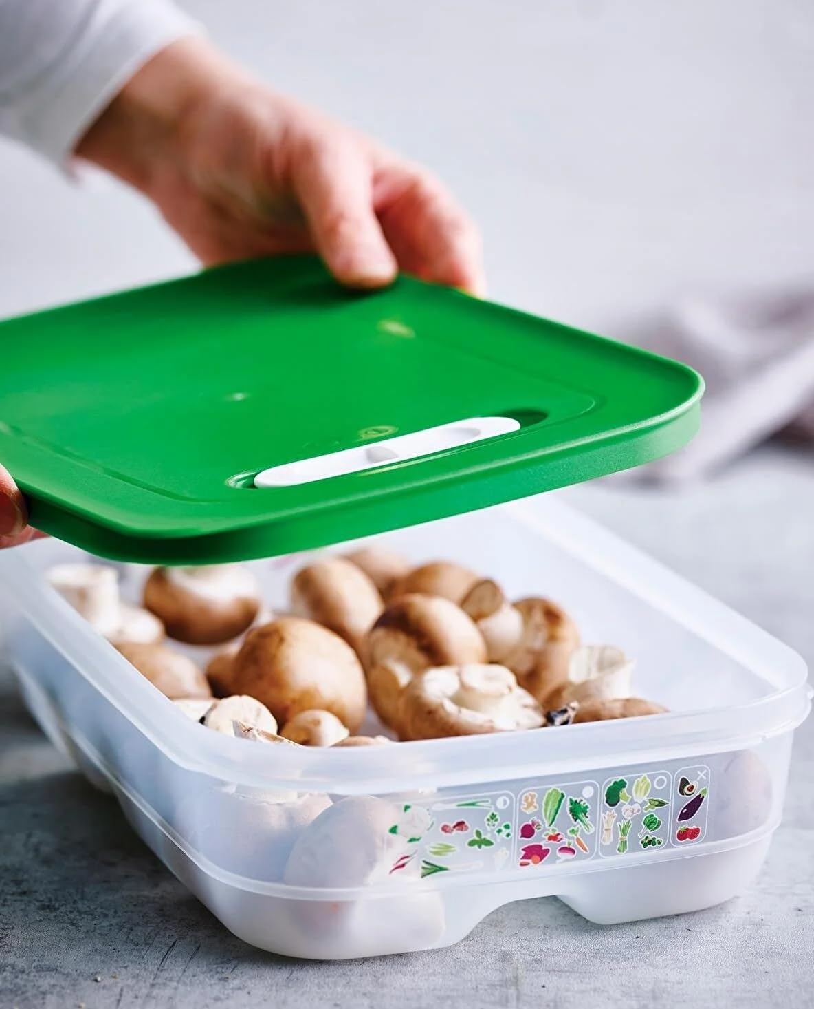 Tupperware Fridgesmart Medium Container, Sheer With Wintergreen Seal