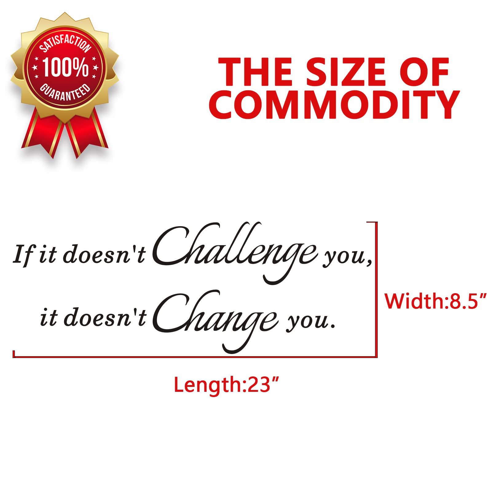 Anfigure Inspirational Wall Decals, Wall Decals For Office, Motivational Gym Quotes Workout Classroom Fitness Home Art Decor Vin