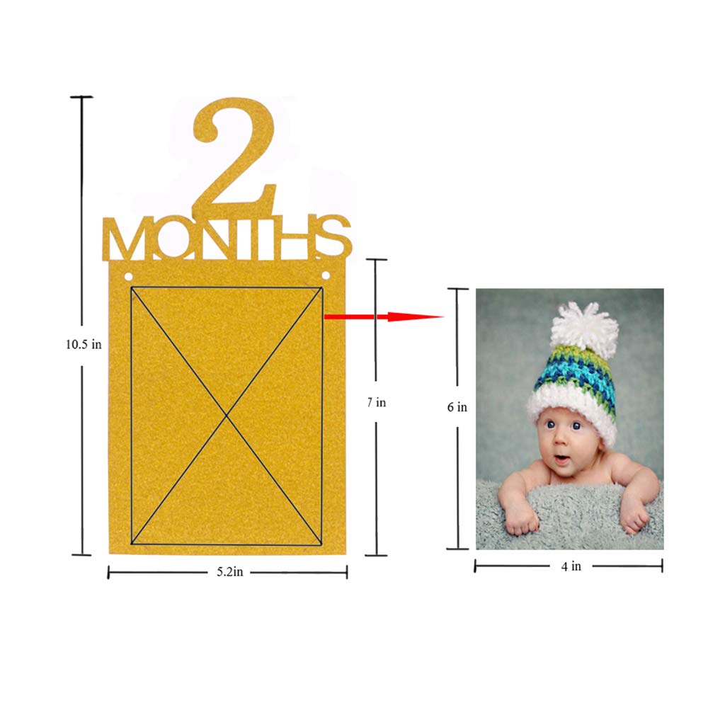 1St Birthday Baby Photo Banner ,Gold Glitter Growth Record 1 To12 Month Photo Prop ,Monthly Milestone Photograph Bunting Garland