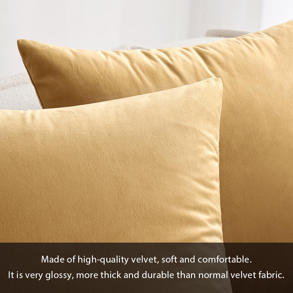 Miulee Velvet Soft Soild Decorative Square Throw Pillow Cover Cushion Case For Sofa Bedroom Car 12 X 20 Inch 30 X 50 Cm