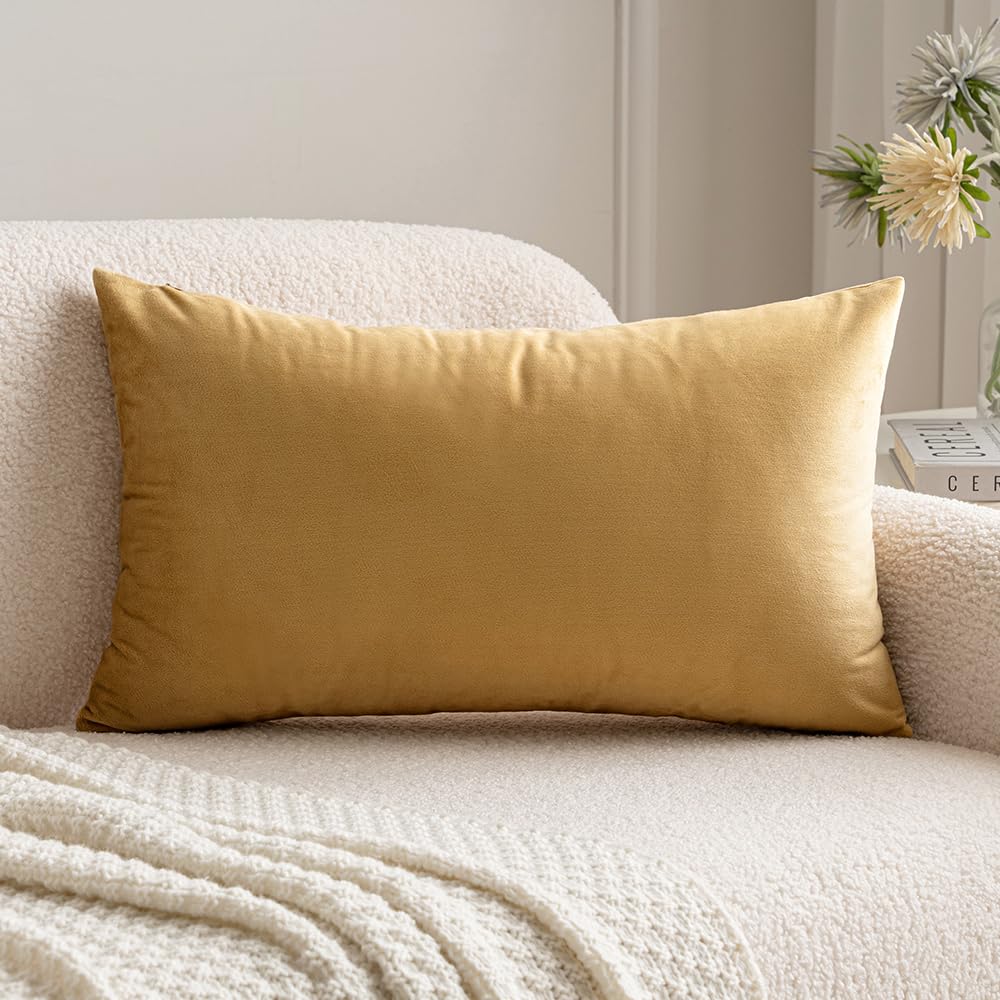 Miulee Velvet Soft Soild Decorative Square Throw Pillow Cover Cushion Case For Sofa Bedroom Car 12 X 20 Inch 30 X 50 Cm