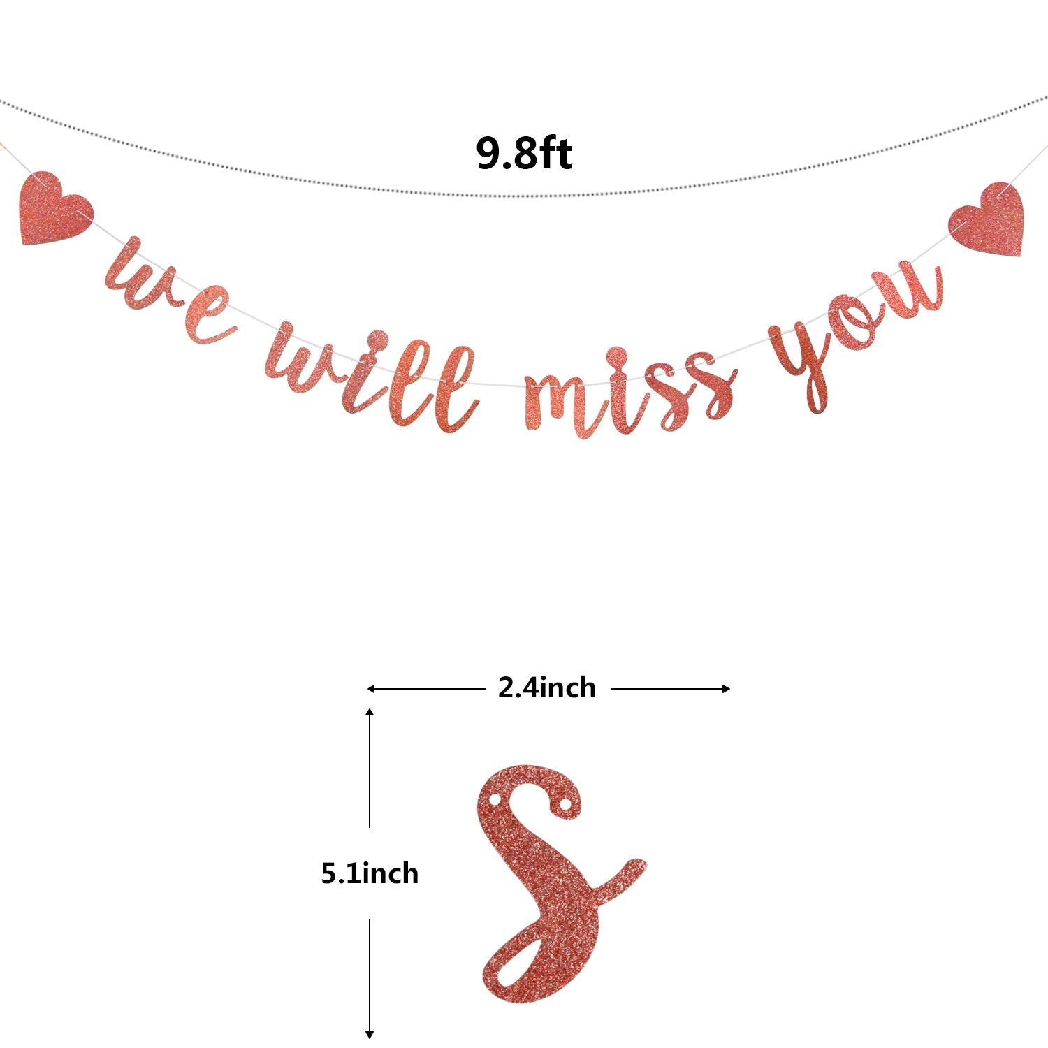 Rose Gold Glitter We Will Miss You Banner-Retirement Party Decorations Sign-Going Away Party Decor-Farewell Party Decorations-Of