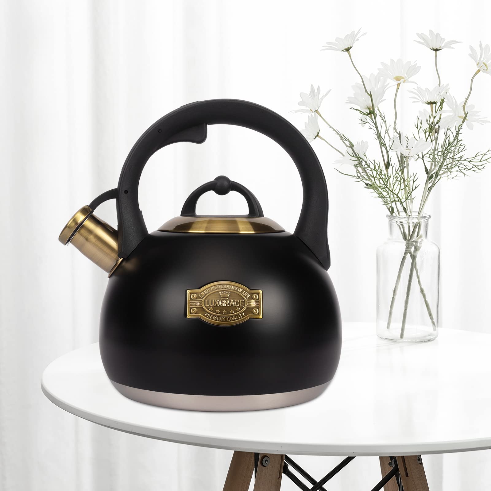 Tea Kettle For Stovetop, Food Grade Stainless Steel Water Kettle, Tea Pot For Home & Kitchen, 3.1 Quart