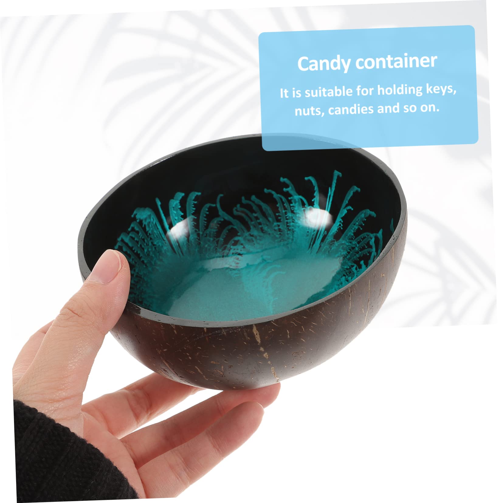 ORFOFE Offering Bowl Shell Key Holder Key Holder Bowl Coconut Storage Bowl Coconut Bowls Dessert Bowl Bowls for Food Desktop Org