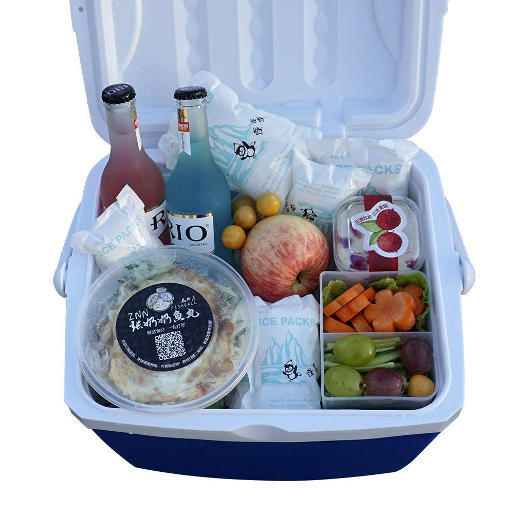 Shipping Ice Packs Reusable Small Dry Ice Pack Sheets 48 Packs, Ice Pack For Shipping Frozen Food Keep Food Fresh Beverage Cold,