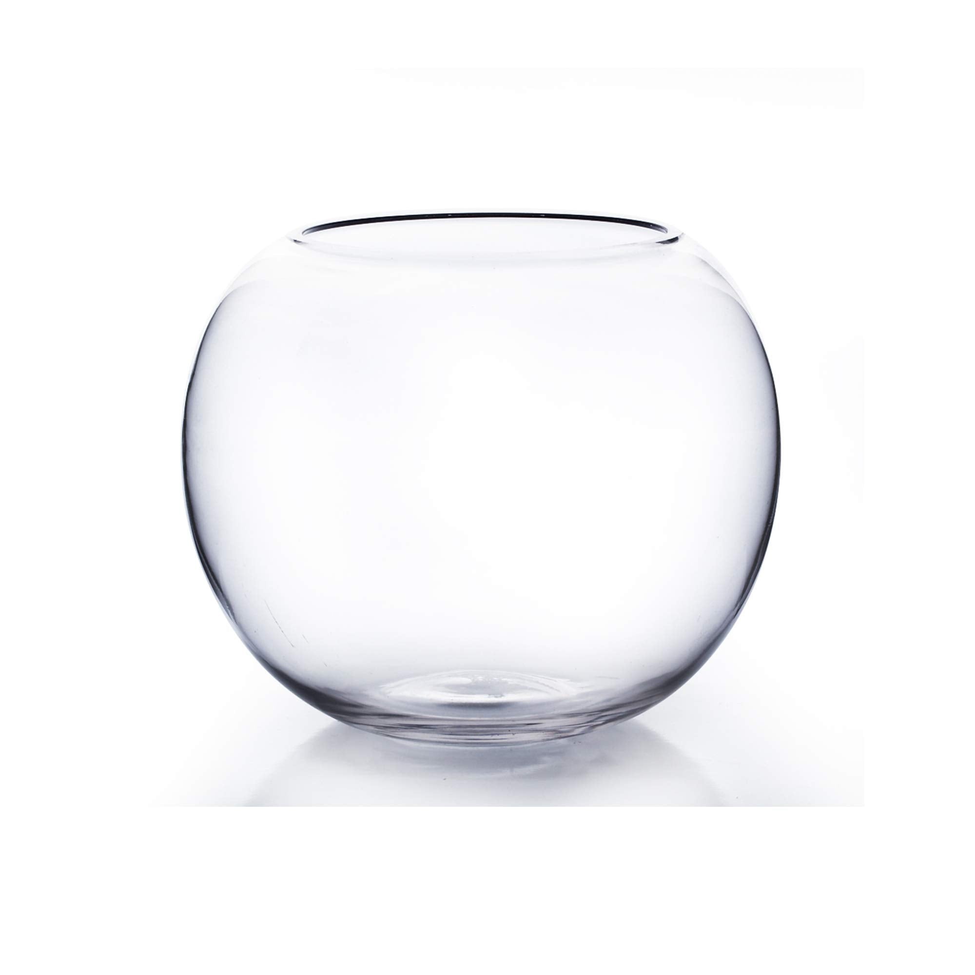 WGV Bowl Glass Vase, Diameter 10, Height 8, Open Width 6, (Multiple Sizes Choices) Clear Bubble Planter Terrarium Fish Bowl for 
